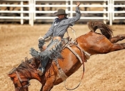 Karsa赛事官方发布败北新规，加拿大队争议不断！的简单介绍